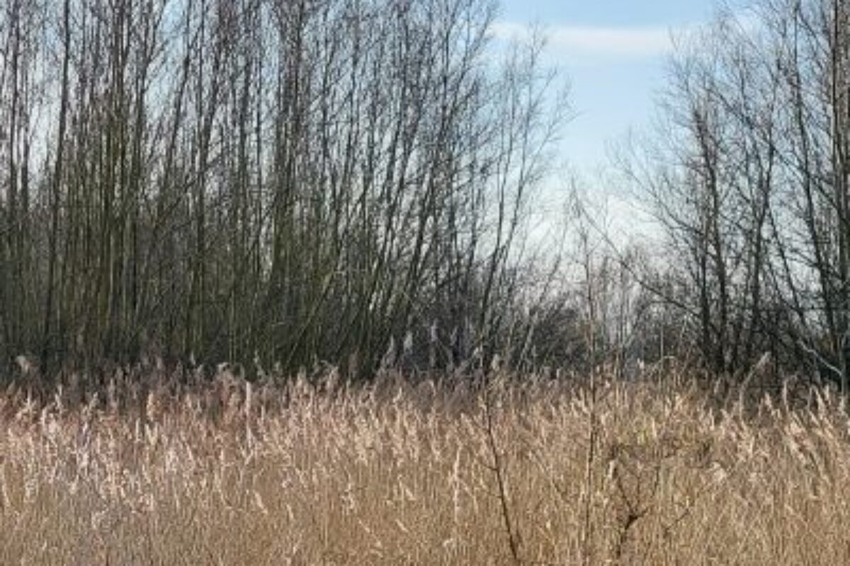 Ga mee de Natuur in…