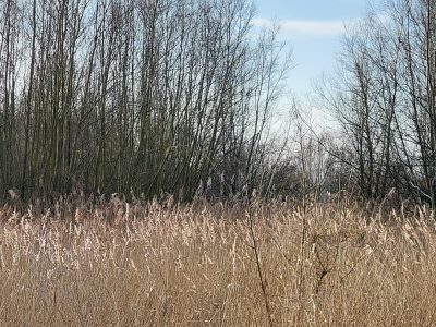 Ga mee de Natuur in…