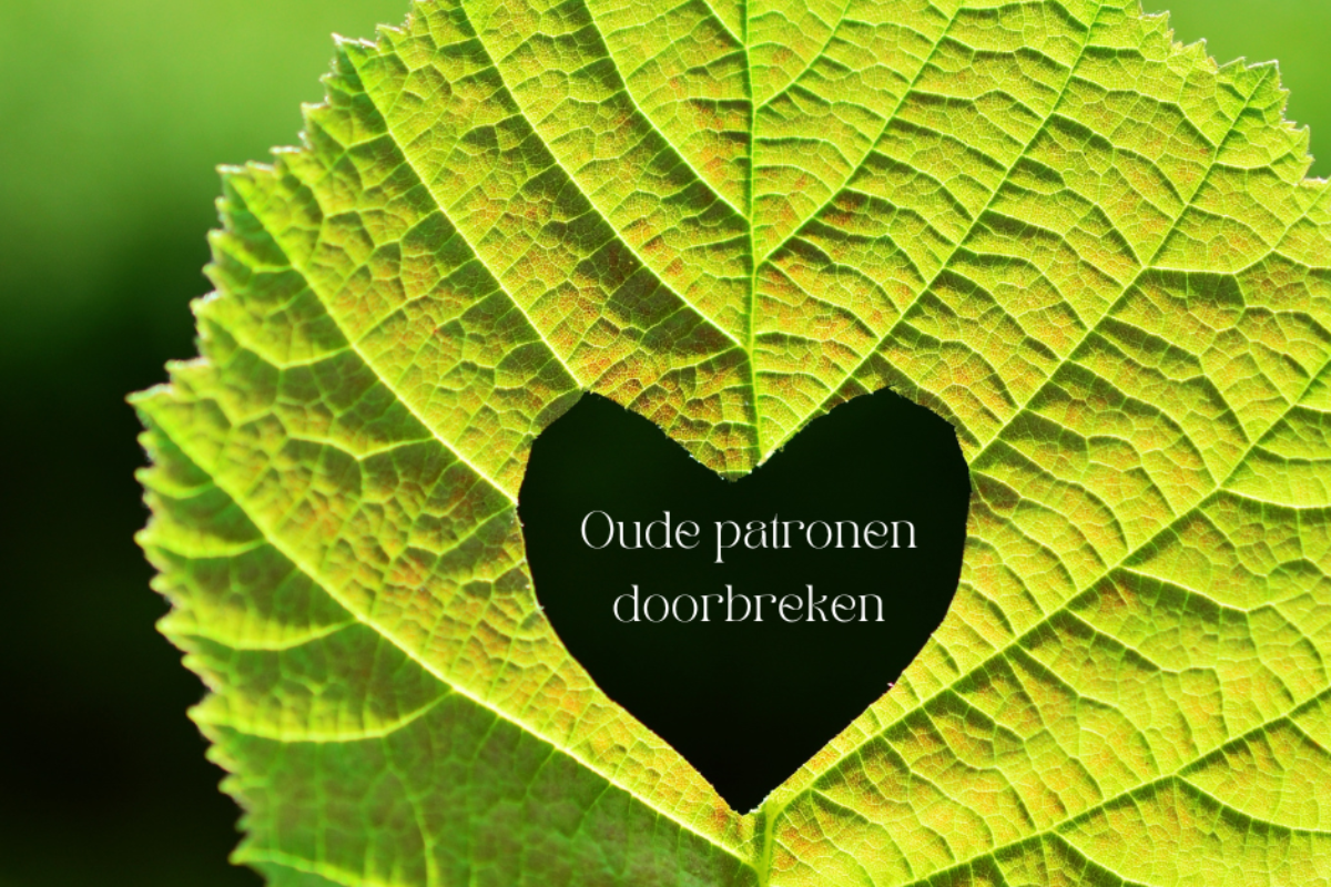 Blijven doen wat je altijd deed?